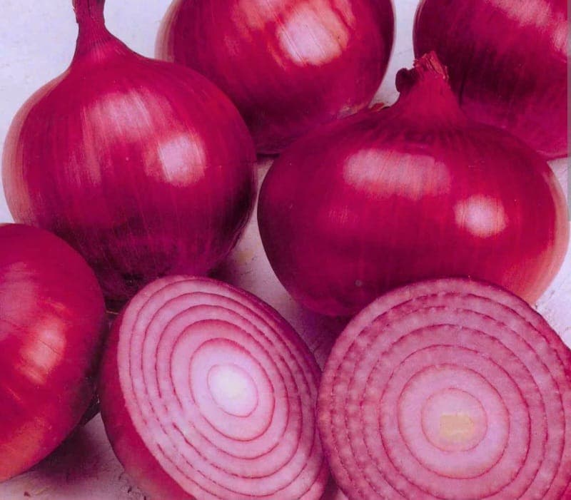 Red onion