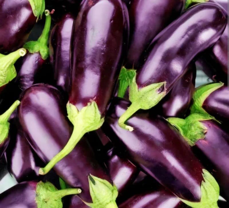 Eggplant 1kg