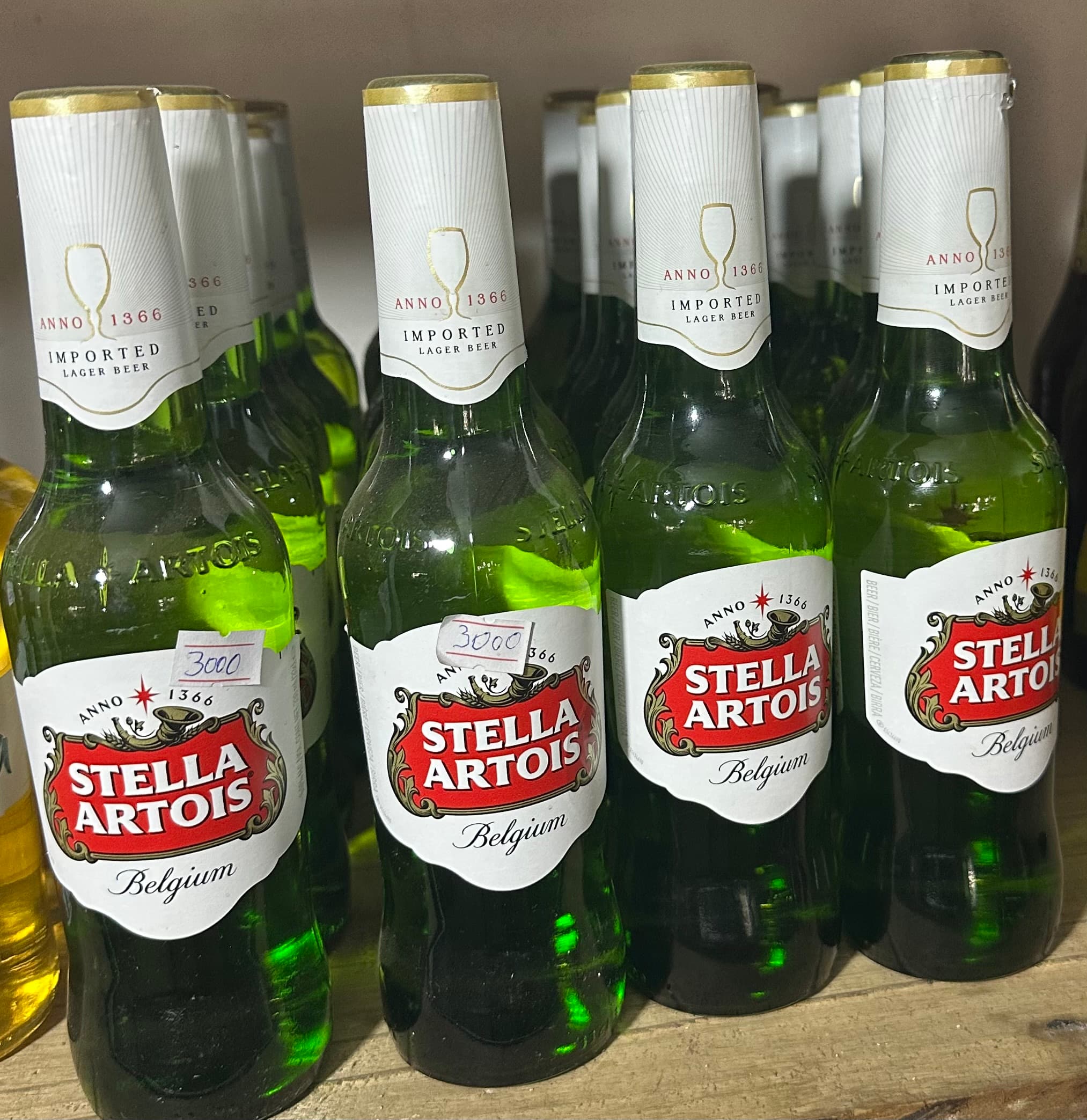 Stella Artois